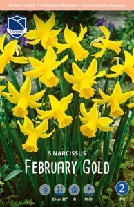 Нарцисс cyclamineus "February Gold" (1х5шт) купить