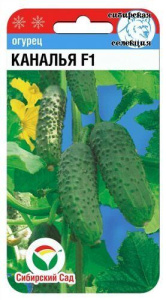 Огурец Каналья  купить