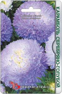 Астра Карамболь Серебряно-Голубой  купить