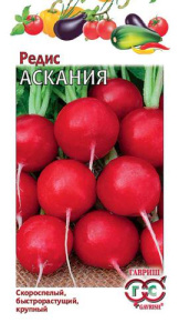 Редис Аскания  купить