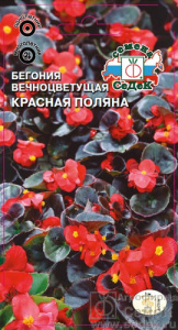 Бегония Красная поляна  купить