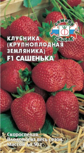 Земляника Сашенька F1 (крупноплодная, скороспелая) купить