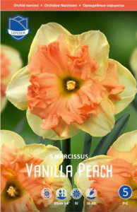 Нарцисс Ванилла Пич /5шт купить