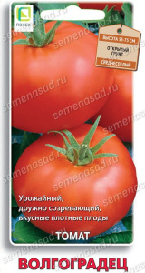 Томат Волгоградец купить