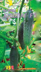 Огурец Аншлаг F1 купить