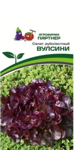 Салат Вулсини дуболистный купить