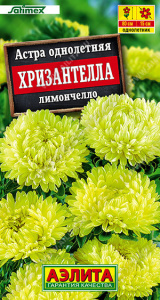 Астра Хризантелла лимончелло Satimex купить