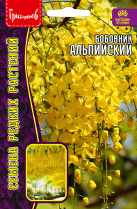 Бобовник Альпийский купить