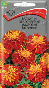 Бархатцы Бой гармония откл. махр. купить