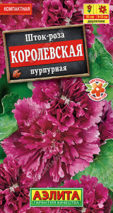 Шток-роза Королевская пурпурная  купить