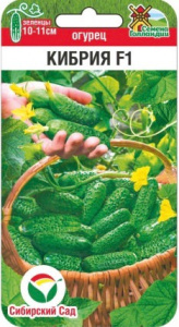 Огурец Кибрия F1 купить