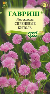 Лук скорода Сиреневые купола (декорат.) купить