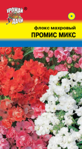 Флокс Промис Микс махровая  купить