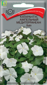 Катарантус ампельный Медитерранеан Вайт купить