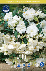 Бегония ампельная XXL Pendula WHITE /3шт купить