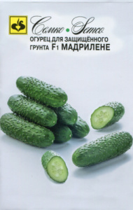Огурец Мадрилене F1  купить