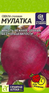 Свекла Мулатка  купить