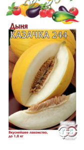 Дыня Казачка 244 купить