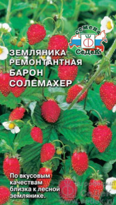 Земляника Барон Солемахер (раннеспелый)  купить