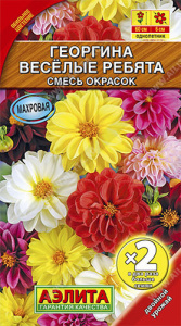 Георгина Веселые ребята, смесь окрасок (двойная граммовка)  купить
