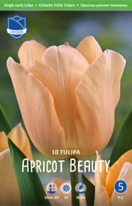 Тюльпан Эприкот Бьюти /10шт купить
