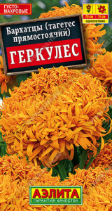 Бархатцы Геркулес прямостоячие купить