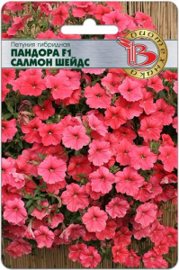 Петуния Пандора F1 Салмон Шейдс гибридная  купить