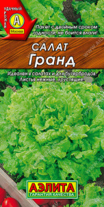 Салат Гранд листовой  купить
