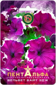 Петуния Пентальфа F1 Вельвет  Вайт Эдж  купить