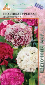 Гвоздика Двойная радуга турецкая купить