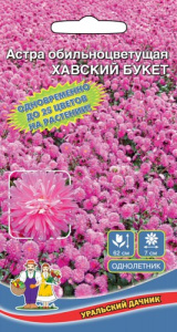 Астра обильноцветущая Хавский Букет обильноцветущая  купить