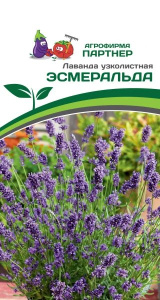 Лаванда узколистная Эсмеральда купить