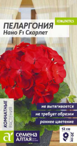 Пеларгония карликовая Нано F1 Скарлет  купить