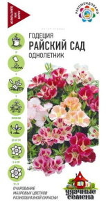 Годеция Райский сад , смесь Уд. с. купить