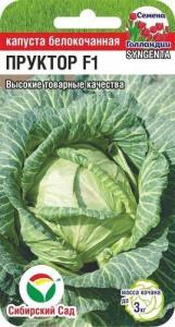 Капуста Пруктор F1 (Syngenta)  купить
