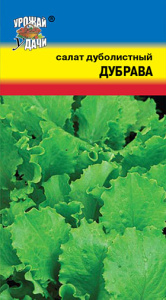 Салат Дубрава дуболистный  купить