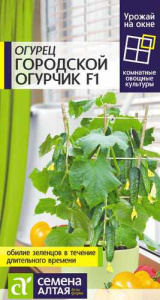 Огурец Городской Огурчик F1 купить