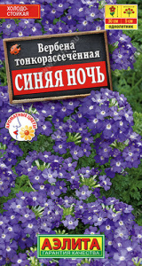 Вербена Синяя ночь  купить