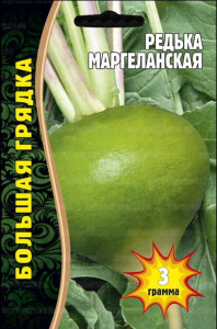 Редька Маргеланская купить