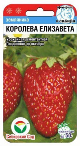 Земляника Королева Елизавета  купить
