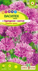 Василек Мини Пурпурная Мантия купить
