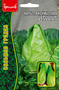 Капуста Везувий Vesuvius коническая купить