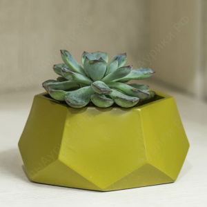 Кашпо Техно 0.22л оливка купить