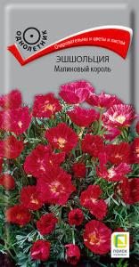 Эшшольция Малиновый король купить