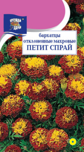 Бархатцы Петит Спрай откл. махр. купить