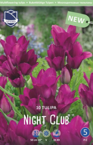 Тюльпан многоцветковый "Night Club" (1х10шт) купить