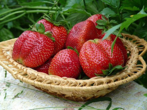 Земляника Королева Елизавета ремонтантная купить