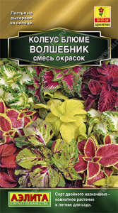 Колеус блюме Волшебник, смесь окрасок  купить