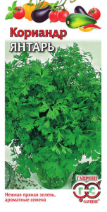Кориандр Янтарь  купить