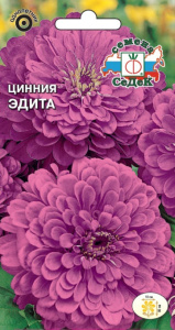 Цинния Эдита изящная, георгиновидная купить